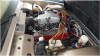 TVR 350/390i V8 Cabrio